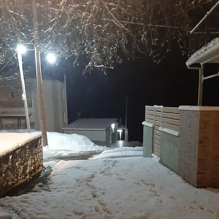 σπιτάκι στην φτέρη
